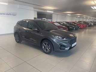 FORD Kuga 1.5 EcoBlue 120 CV aut. 2WD ST-Line