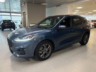 FORD Kuga 1.5 EcoBlue 120 CV 2WD ST-Line